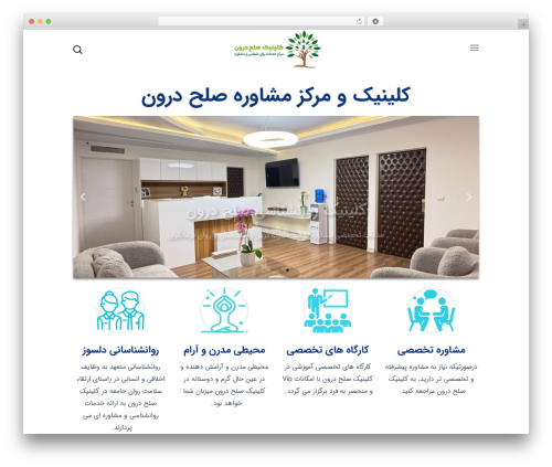 Medify core WordPress plugin - solhedaroun.com