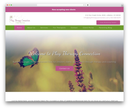 Theme WordPress Megatheme - playtherapyconnection.com