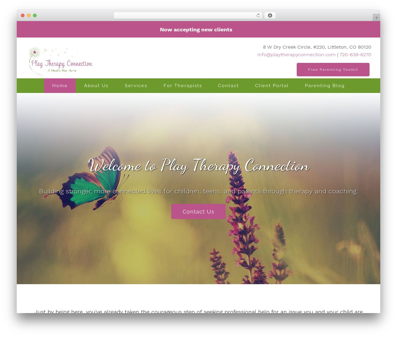 Theme WordPress Megatheme - playtherapyconnection.com Theme WordPress Megatheme - playtherapyconnection.com