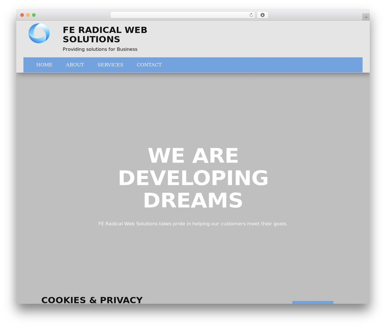 WordPress theme feradicalweb_wp - feradicalweb.com