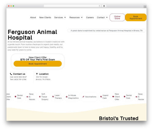 Website accessibility WordPress plugin - fah4pets.com