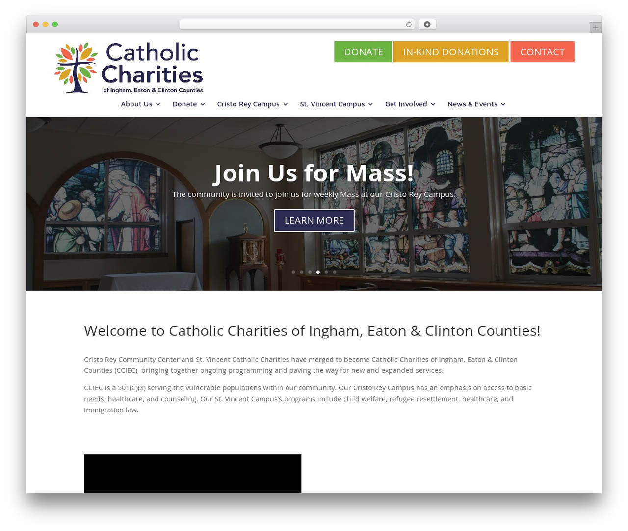 WordPress theme Divi - catholiccharitiesiec.org