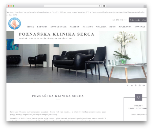 WordPress theme Executive WordPress Theme - klinikapoznan.pl