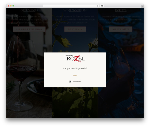 Woo product carousel slider for elementor pro WordPress plugin - domainerozel.fr