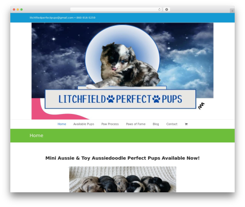 Sharemypost pro WordPress plugin - litchfieldperfectpups.com