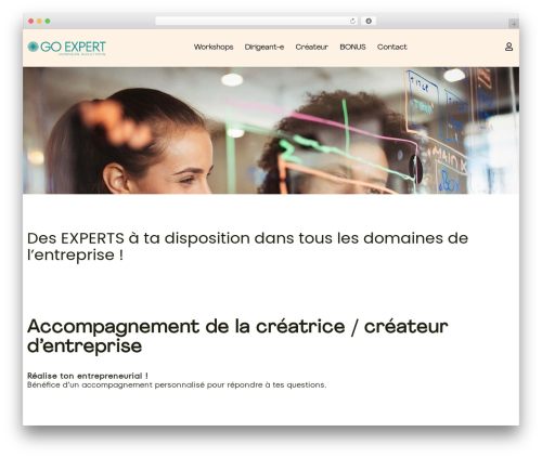 Selection Lite (selection-lite) free WordPress plugin - goexpert.ch Selection Lite (selection-lite) free WordPress plugin - goexpert.ch