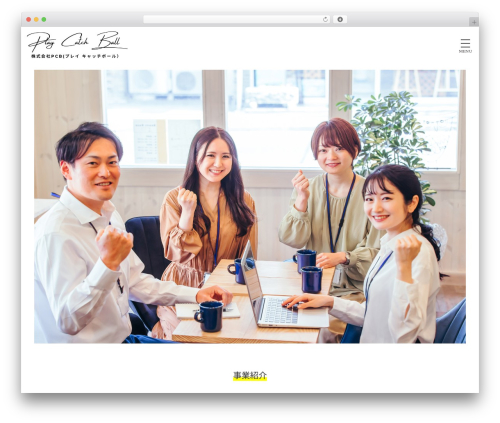 WordPress theme VD02 - play-catchball.com
