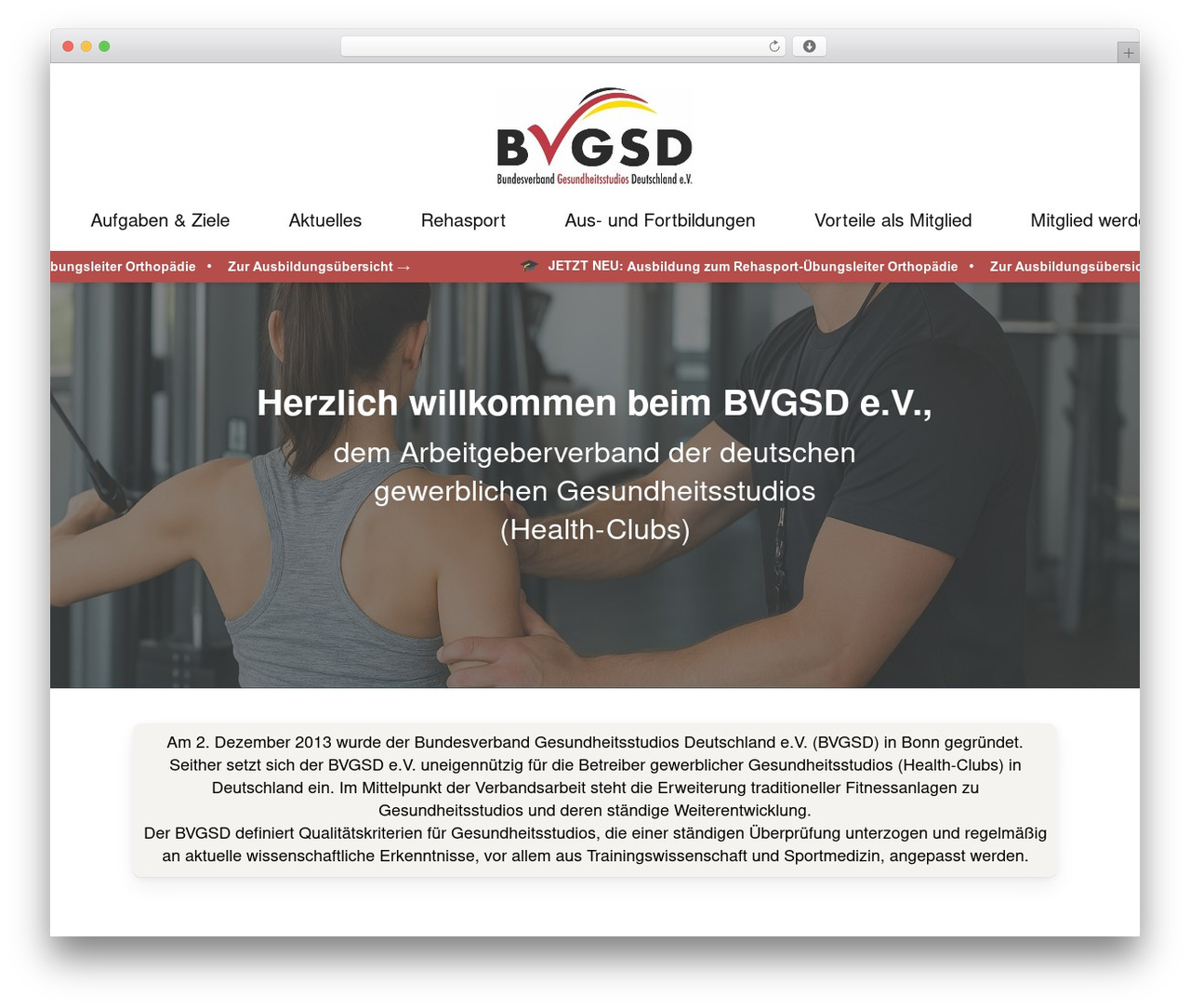 Theme WordPress Salient - bvgsd.de