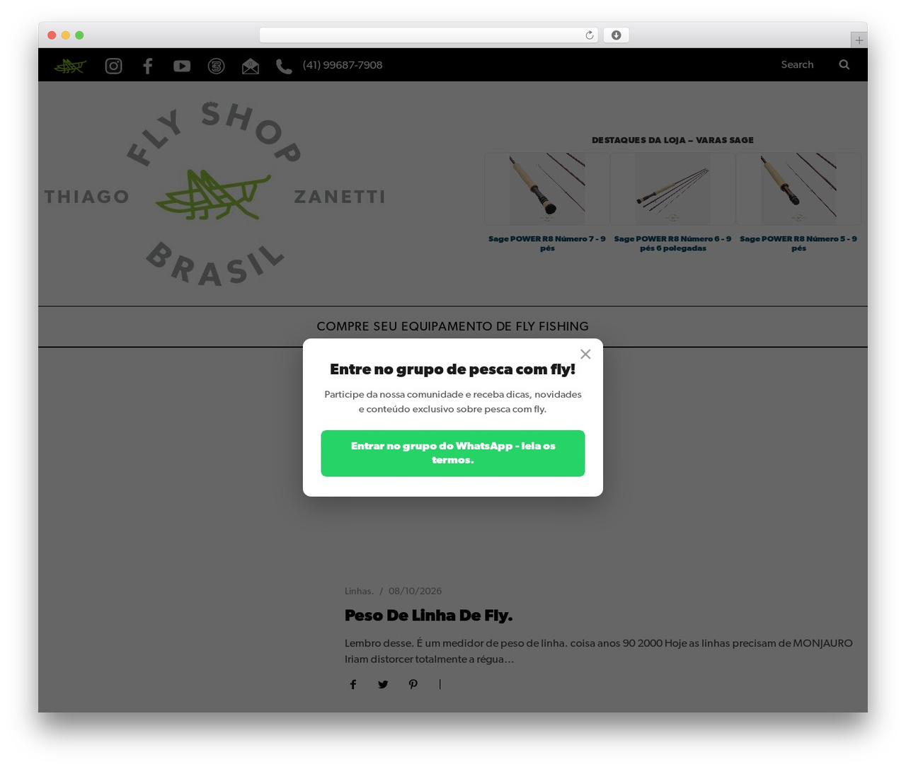 Theme WordPress SimpleMag - flyshopbrasil.com.br