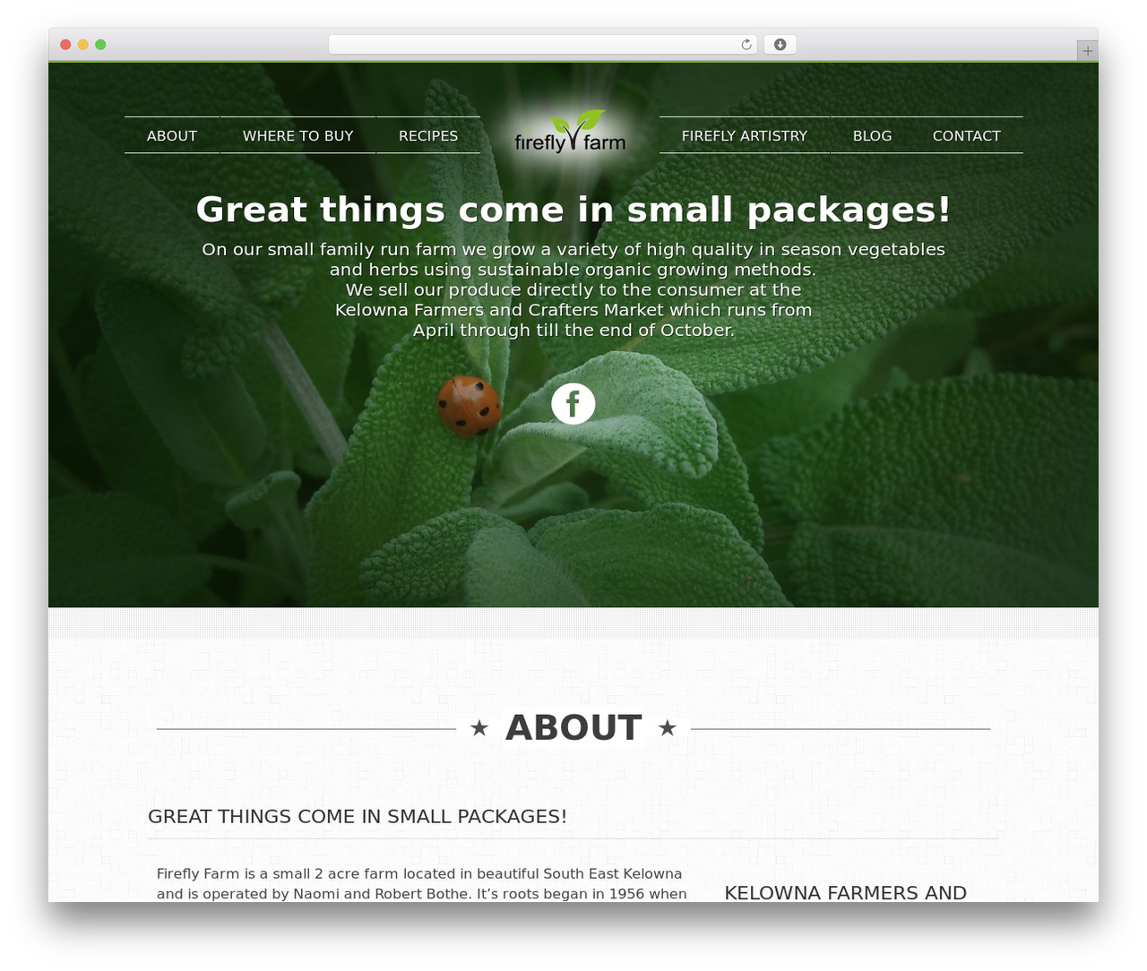 ViewPoint WordPress theme - fireflyfarmbc.com
