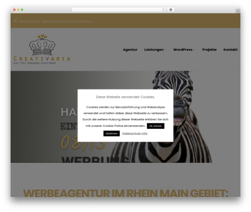 Cherry Socialize (cherry-socialize) free WordPress plugin - creativaria.de