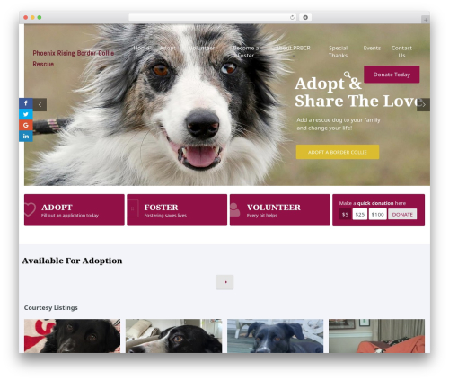 Candidate WordPress theme - prbcr.org