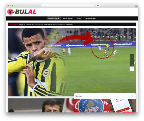 dtheme theme WordPress - bulal.net