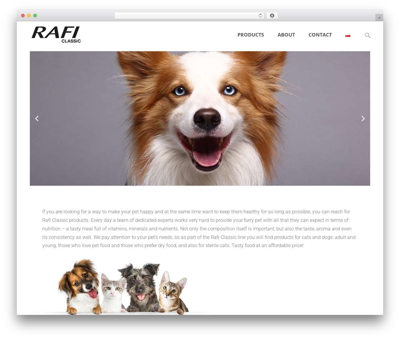 WordPress theme i-max - raficlassic.com