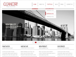 WordPress website theme KINKI by 4site