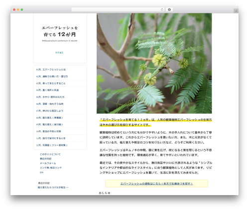 WSC premium WordPress theme - komorebi.info