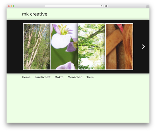 Oqey gallery WordPress plugin - karavidovic.de