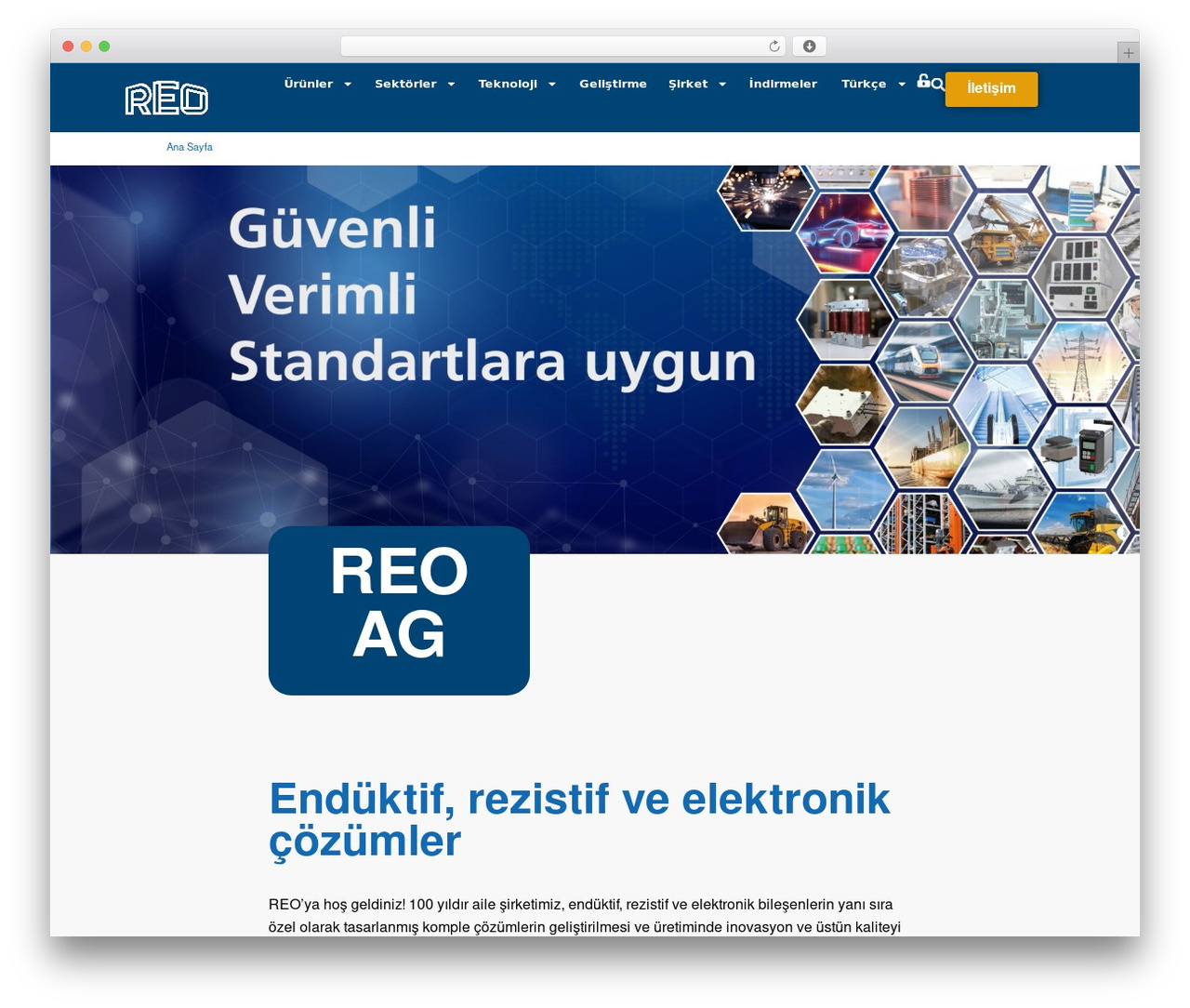 Theme WordPress Hello Elementor - reo-turkey.com