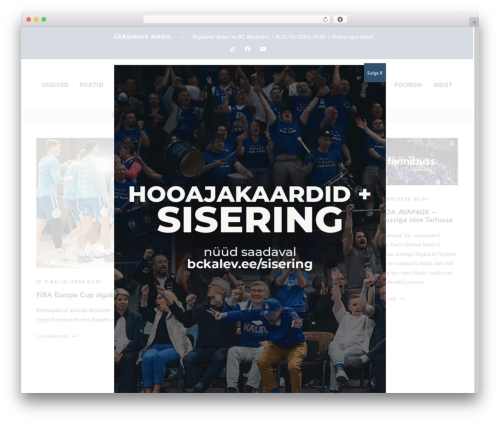 WordPress theme BigSlam - bckalev.ee