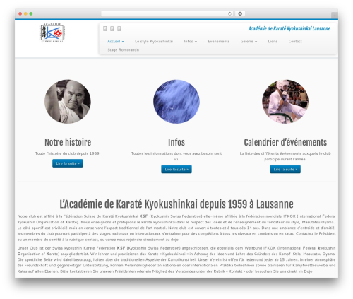 Simple contact info WordPress plugin - karateakl.ch
