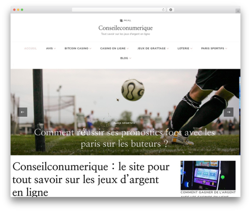 Chic Lite WordPress theme - conseileconumerique.fr