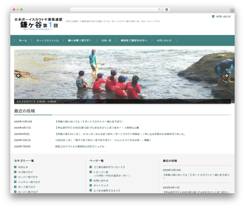 FSV BASIC CORPORATE GREEN WP theme - kamagaya-1.com