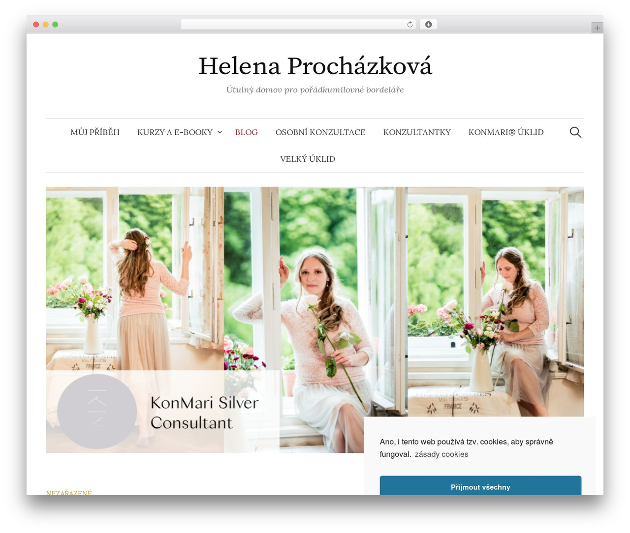 Graphy WordPress theme - helenaprochazkova.cz