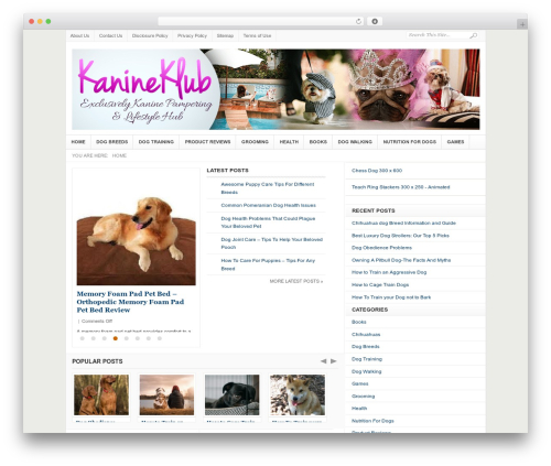 Covertcopytraffic pro WordPress plugin - kanineklub.com