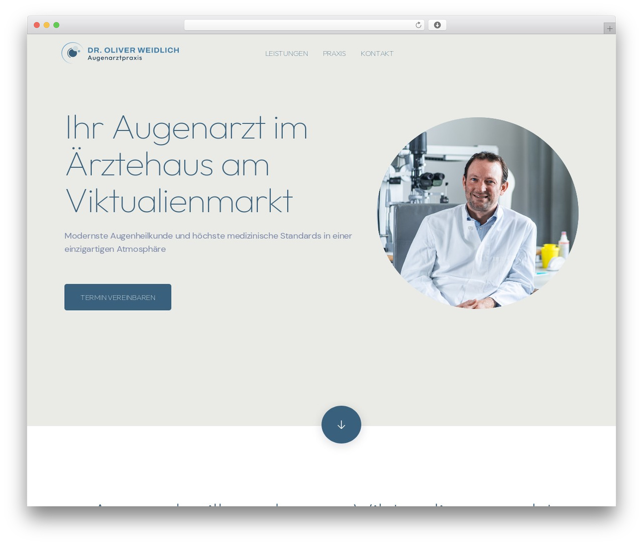 Pollock theme WordPress - dr-weidlich.de Pollock theme WordPress - dr-weidlich.de
