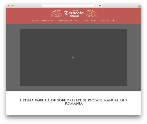Pm instagram WordPress plugin - teracota.ro