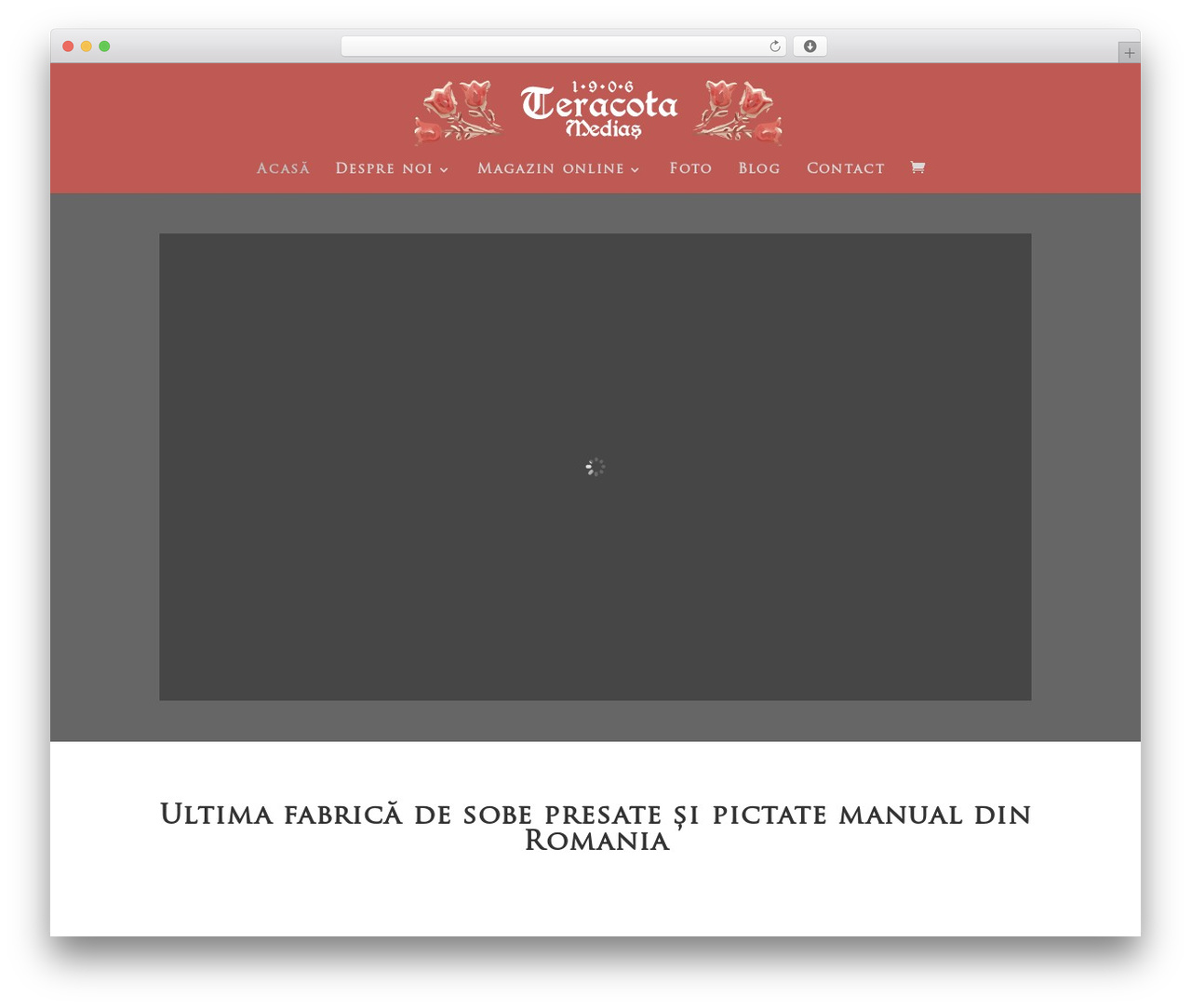 Theme WordPress Divi - teracota.ro
