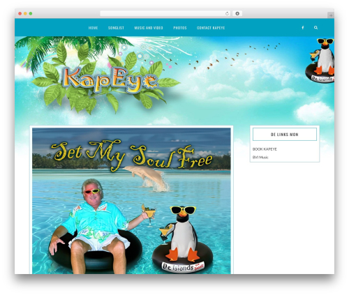 WordPress theme Avendi - kapeye.net