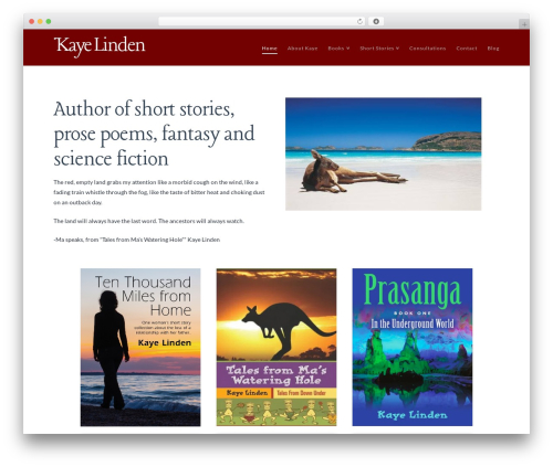 Follow WordPress plugin - kayelinden.com