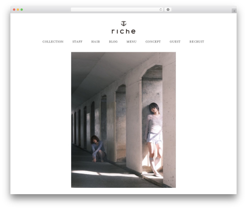 Block editor custom WordPress plugin - h-riche.com