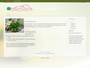final_calla theme WordPress final_calla theme WordPress