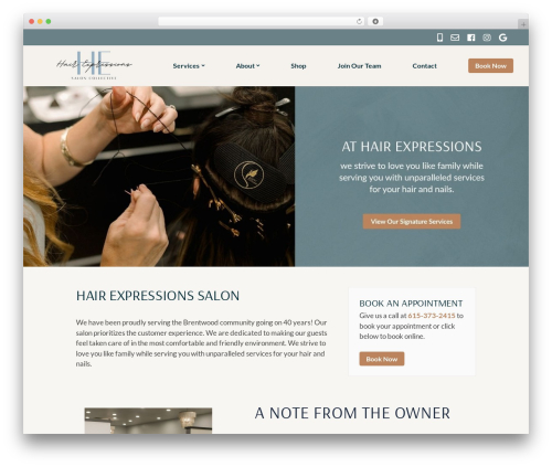 Theme WordPress 323 Design WordPress Theme - hairexpressions.net