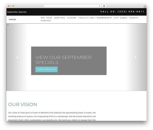 Wordpress Shuttle Framework WordPress theme - vodaspa.com
