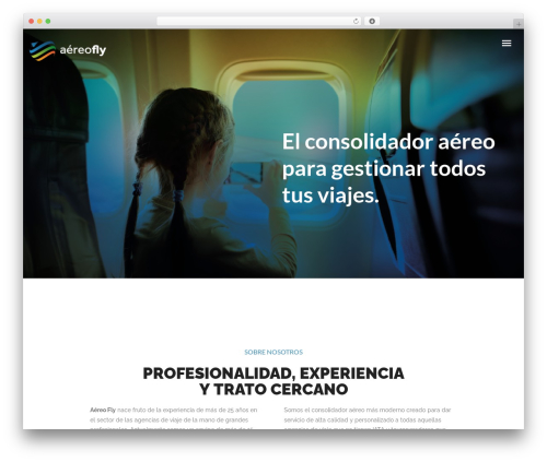 WordPress theme Hazel - aereofly.com