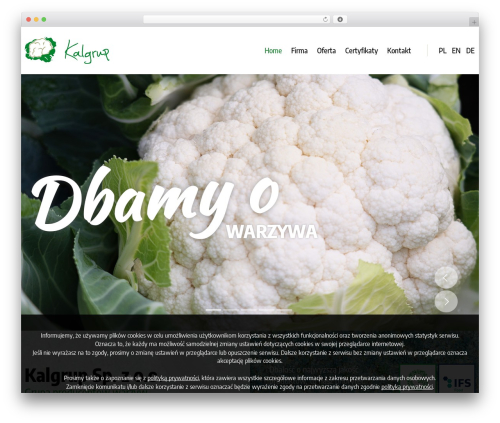 WordPress theme Kalgrup - kalgrup.pl