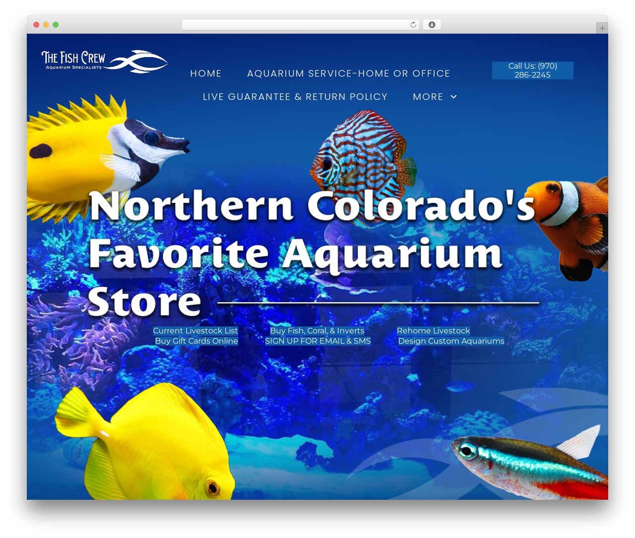 Beaver Builder Theme WordPress theme - fishcrew.com Beaver Builder Theme WordPress theme - fishcrew.com