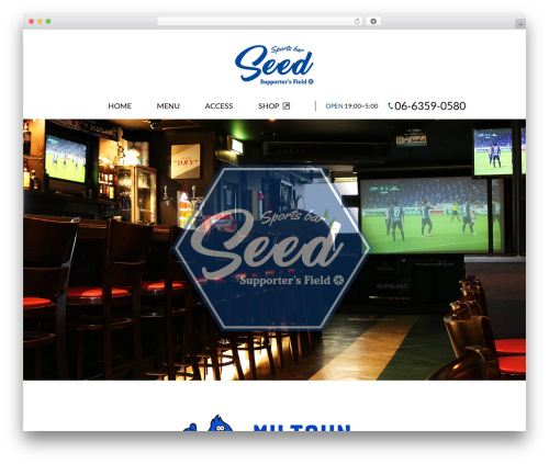 Best WordPress theme Themify Basic - supportersfield.com
