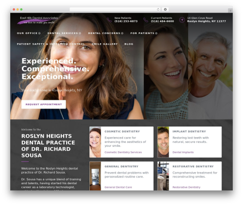 codebase best WordPress theme - drsousa.com
