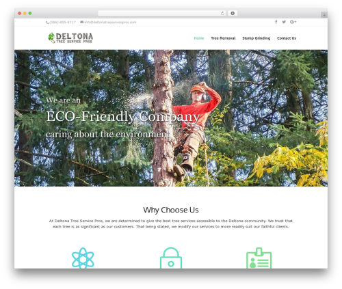 Xagio seo WordPress plugin - deltonatreeservicepros.com