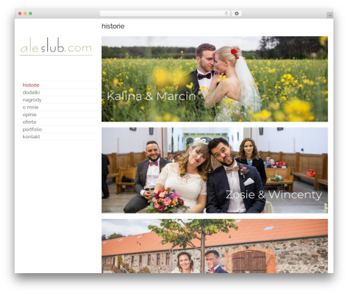 Theme WordPress Eames - aleslub.com