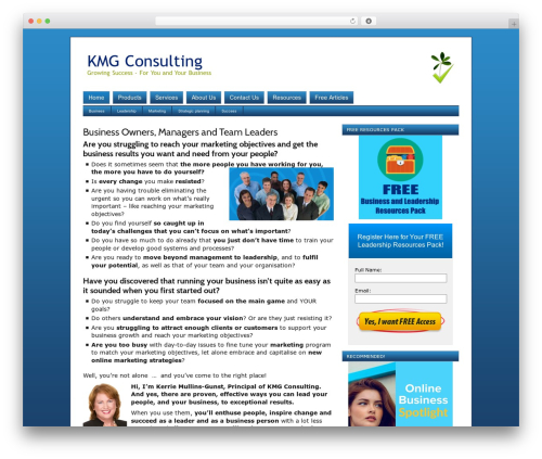 WordPress theme Dynamik - kmgconsulting.com.au