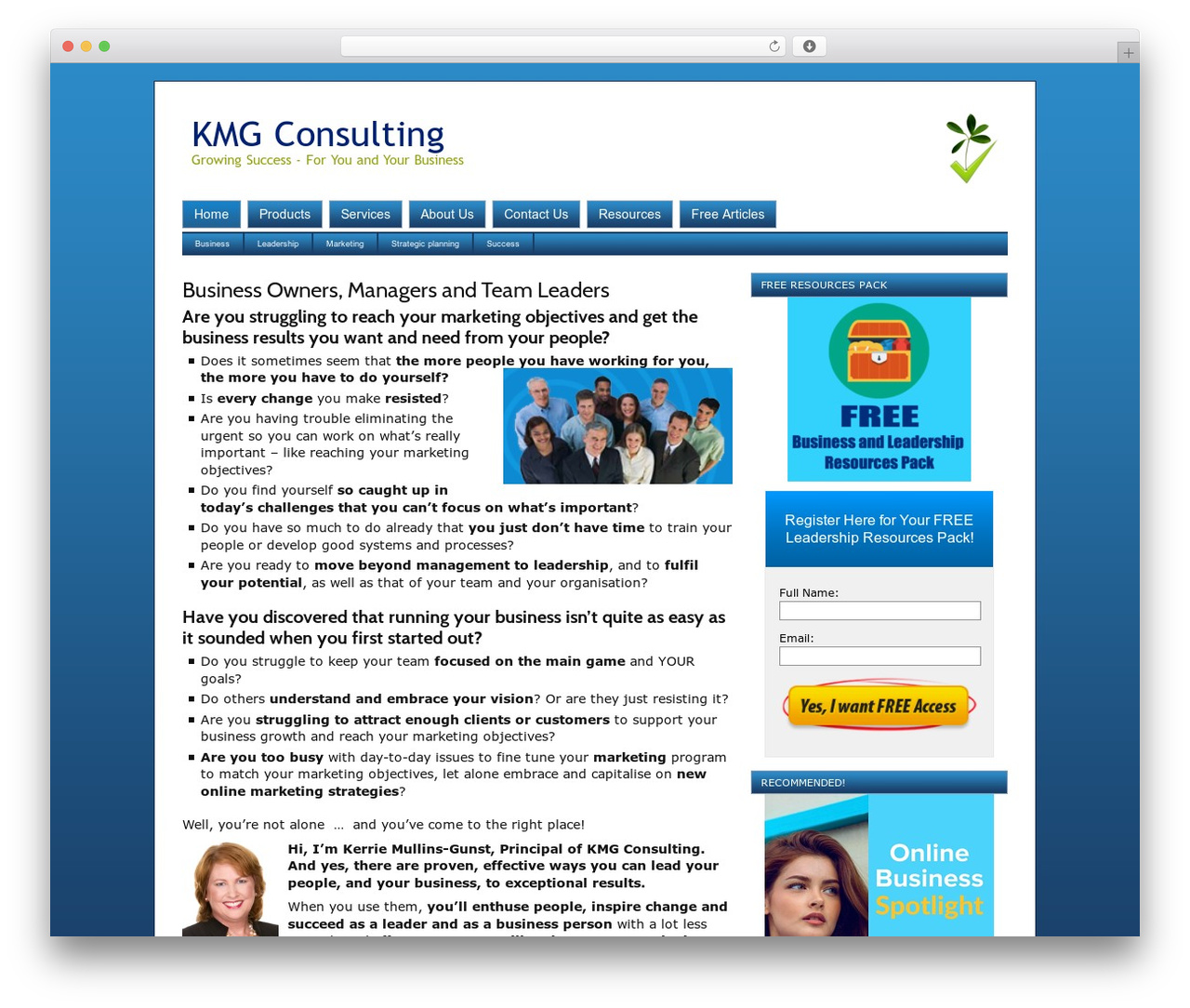 WordPress theme Dynamik - kmgconsulting.com.au