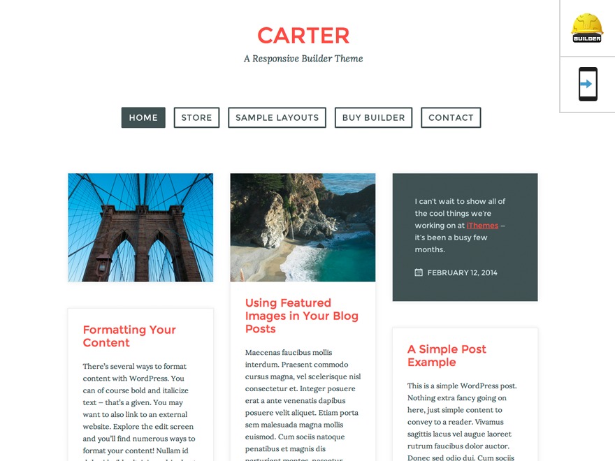 Builder-Carter - Custom WordPress theme