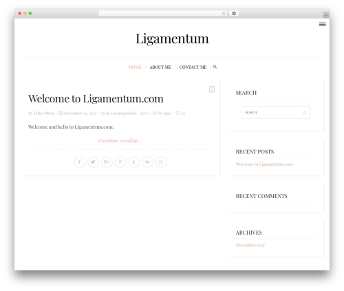 Wp-D3 (wp-d3) free WordPress plugin - ligamentum.com Wp-D3 (wp-d3) free WordPress plugin - ligamentum.com