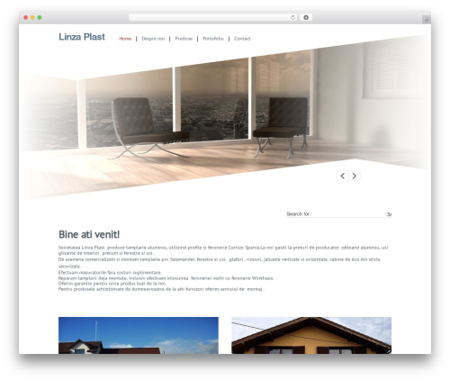 Constellation theme WordPress - linzaplast.ro