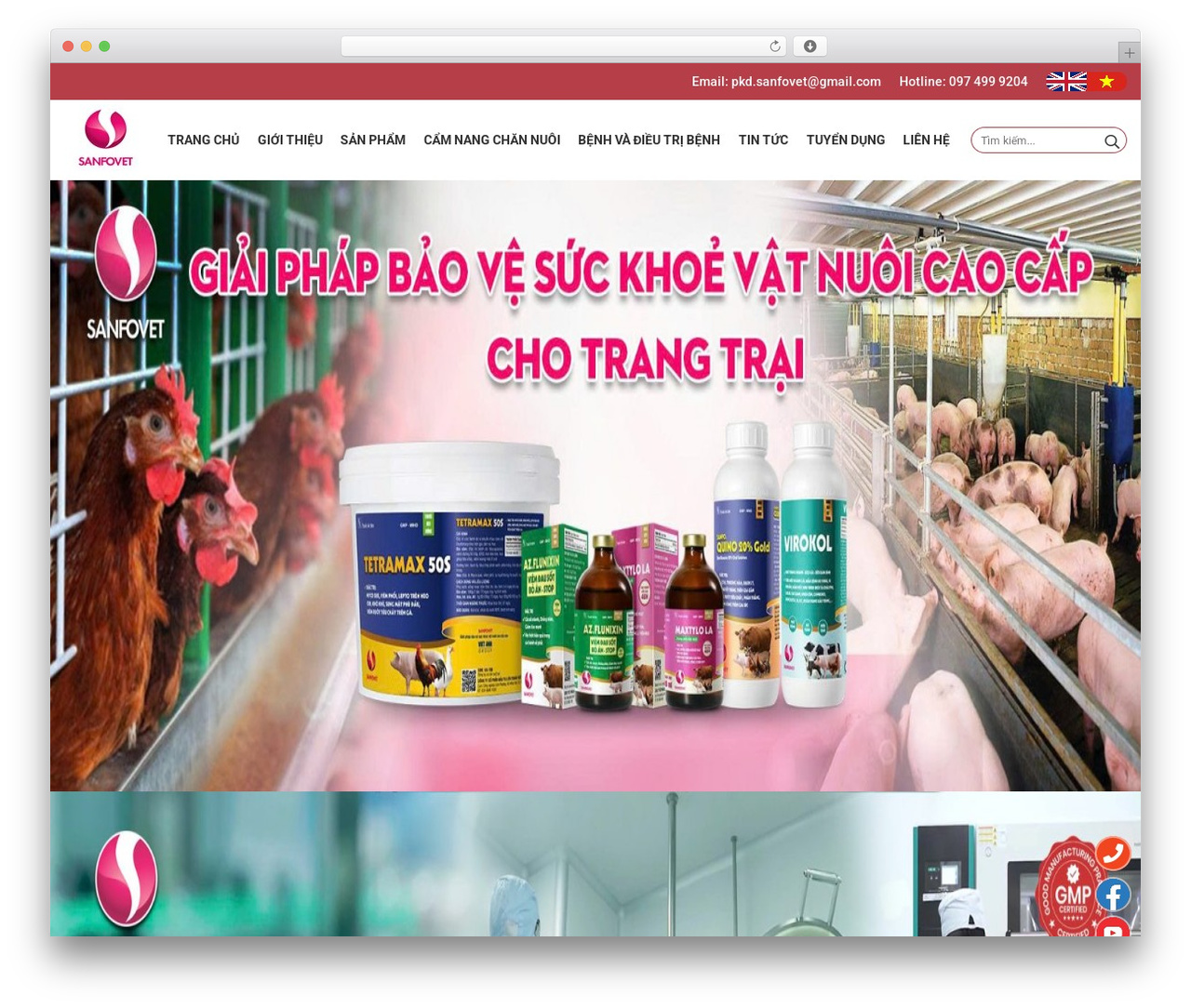 igitheme theme WordPress - sanfovet.com.vn igitheme theme WordPress - sanfovet.com.vn